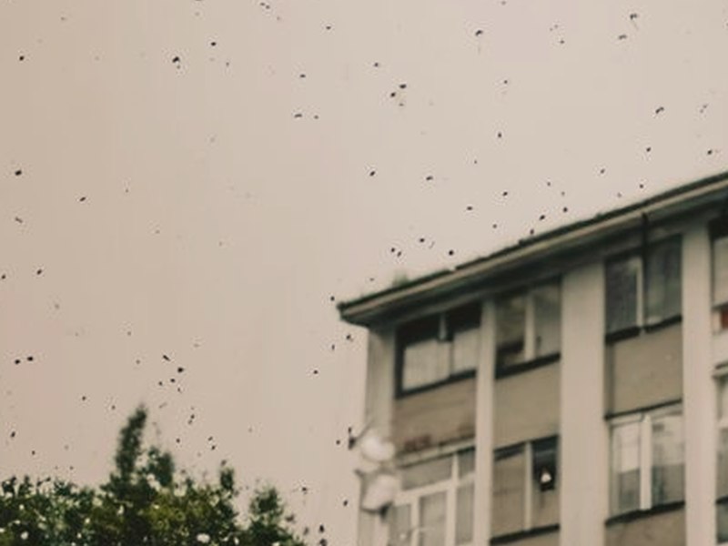 福岡的女人們
